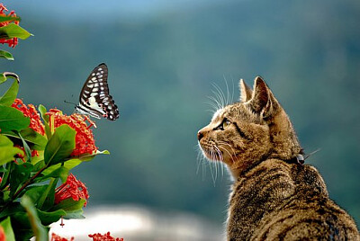 a jigsaw puzzle