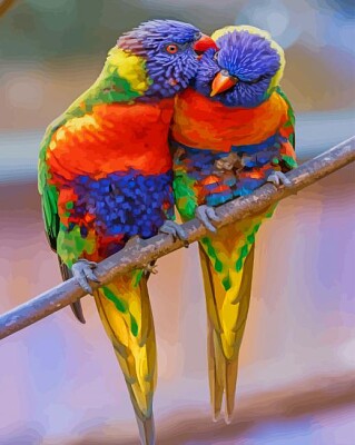 פאזל של Rainbow lorikeet