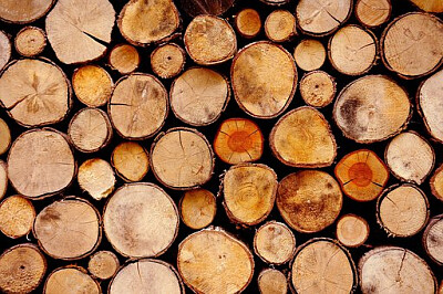 a jigsaw puzzle