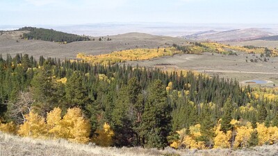 Fall on Muddy Mountain