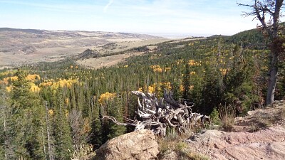 Fall on Muddy Mountain jigsaw puzzle