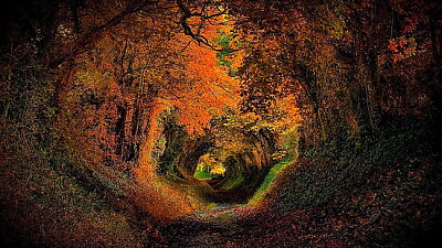 Tunel jigsaw puzzle