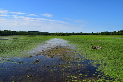 a jigsaw puzzle