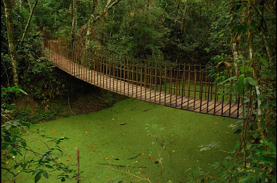 Rope Bridges Puzzle