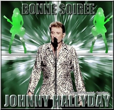 פאזל של Johnny Hallyday