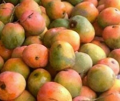 Mangos