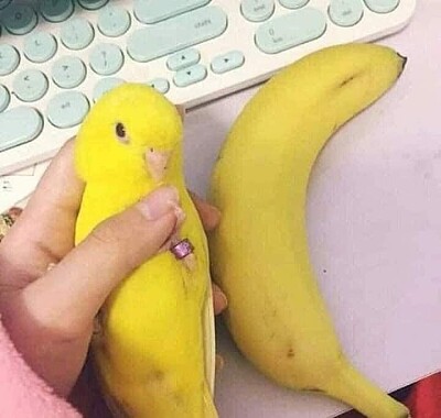 Banana