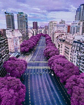 פאזל של Buenos Aires