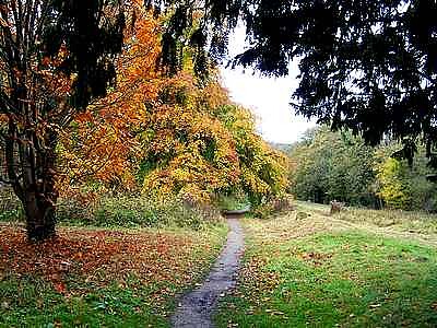 Autumn at Cromford jigsaw puzzle