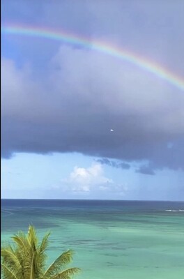 פאזל של NATURALEZA EN CANCUN