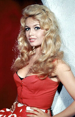 Brigitte Bardot jigsaw puzzle