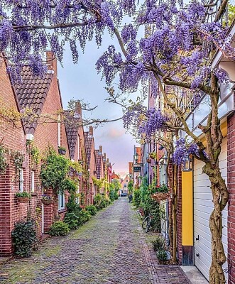 Netherlands