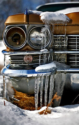 Abandoned and beautiful