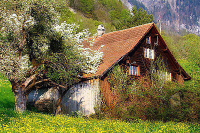 418.- CABAÑA PARA ACAMPAR