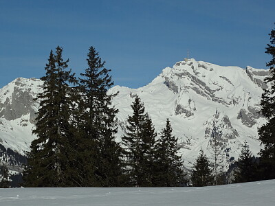 Alp Sellamatt Toggenburg Schweiz