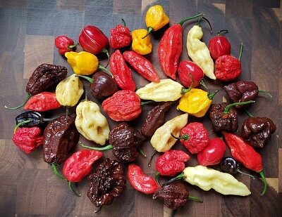 Super Hot Peppers jigsaw puzzle