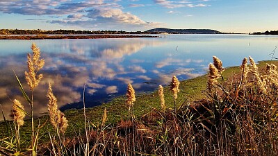 Etang de Thau France