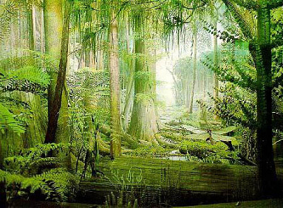 Bosque jigsaw puzzle