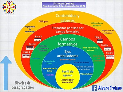 פאזל של Estructura curricular