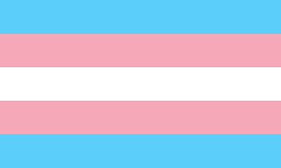 Transgender Flag jigsaw puzzle
