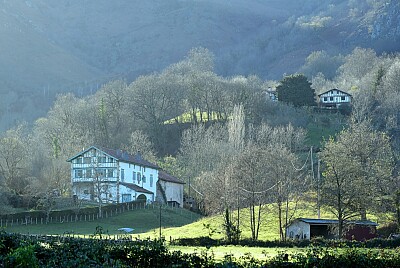 Ferme basque