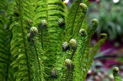 a jigsaw puzzle