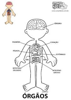 פאזל של Corpo infantil (masculino)