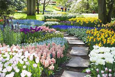 Garden with path jigsaw puzzle