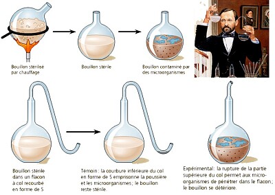 LOUIS PASTEUR