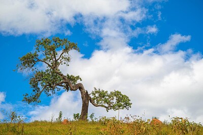 imagem jigsaw puzzle