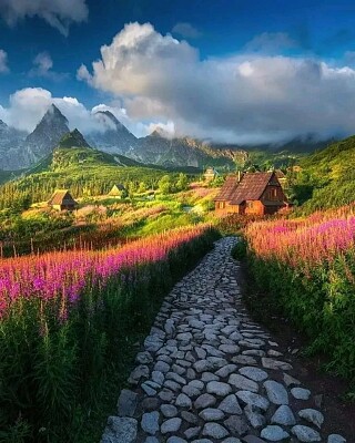 Paisaje en Zakopane-Polonia