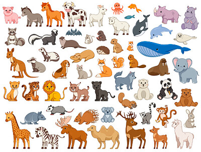 animals jigsaw puzzle