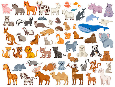 animals