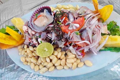 Ceviche de Caballa jigsaw puzzle