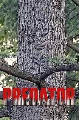 פאזל של PREDATOR