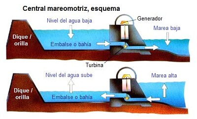 פאזל של mareomotris