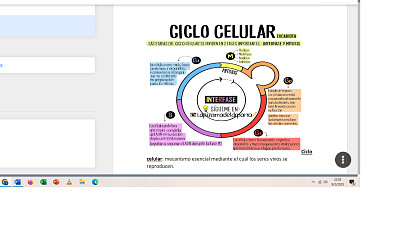 EL CICLO CELULAR jigsaw puzzle