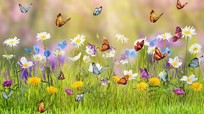 Papillons et fleurs jigsaw puzzle