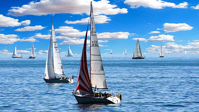 a jigsaw puzzle