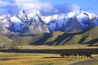 Kirghystan horses jigsaw puzzle