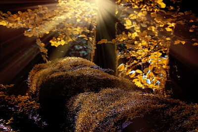 a jigsaw puzzle