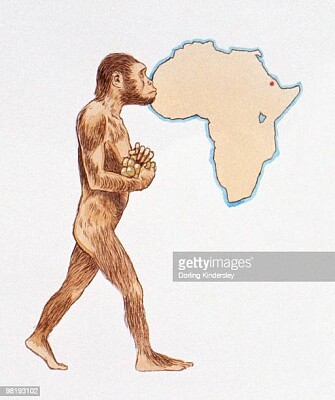 proceso de hominización