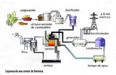 central biomasa