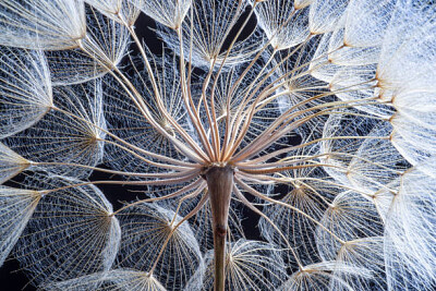 a jigsaw puzzle