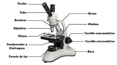 Microscopio jigsaw puzzle