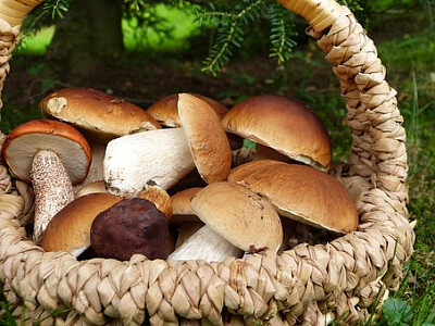 a jigsaw puzzle