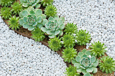 a jigsaw puzzle