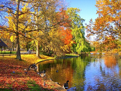 Bonjour l 'automne