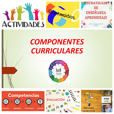 Juego sobre los componentes curriculares