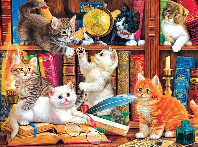 Chatons a la bibliotheque